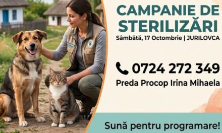 Campanie de sterilizări pentru câini şi pisici, sâmbătă, la Jurilovca