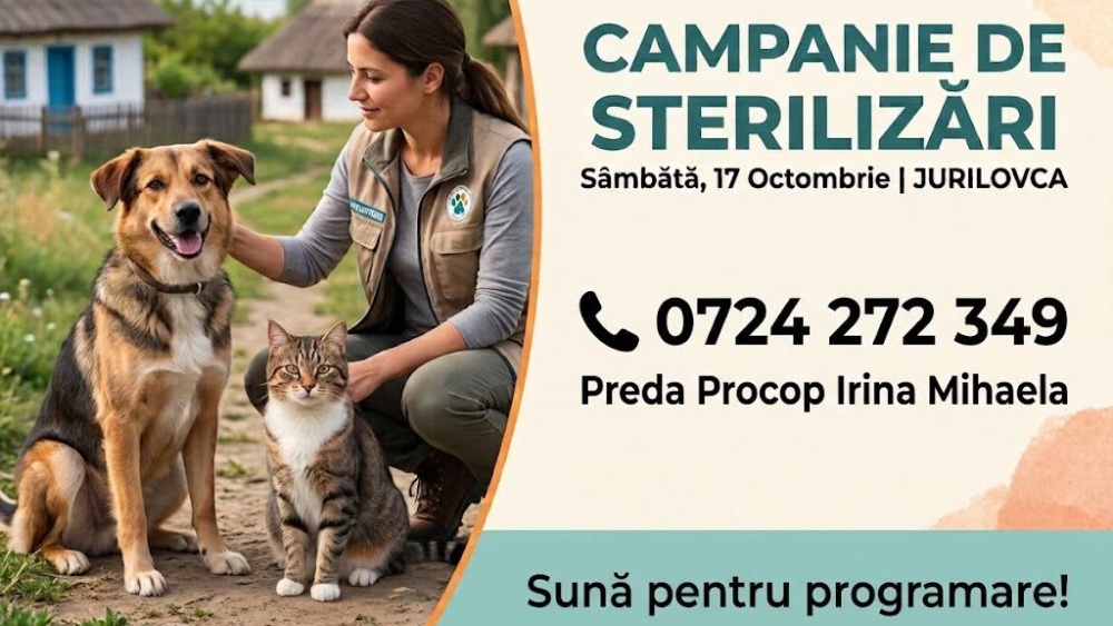 Campanie de sterilizări pentru câini şi pisici, sâmbătă, la Jurilovca