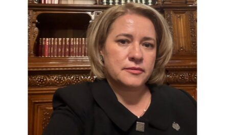 Deputatul S.O.S. România, Elena-Laura Toader, solicită noului Guvern un bilanţ public „proiect cu proiect” pentru PNRR: „România are nevoie de investiţii funcţionale şi de un bilanţ onest”