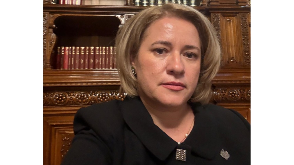 Deputatul S.O.S. România, Elena-Laura Toader, solicită noului Guvern un bilanţ public „proiect cu proiect” pentru PNRR: „România are nevoie de investiţii funcţionale şi de un bilanţ onest”