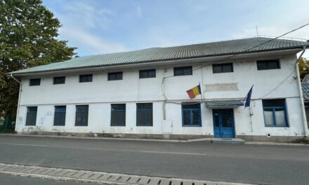 Planurile Primăriei Tulcea: De la noul sediu pentru Căsătorii din „Casa Albastră”, la parcuri sportive pe terenurile lăsate în paragină de ministere