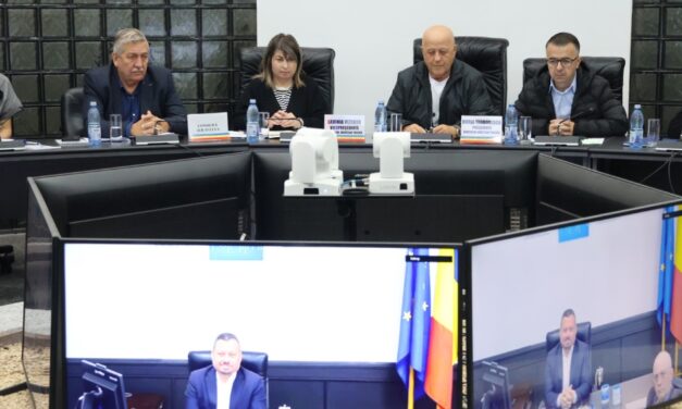 Tulcea devine punct strategic pe harta transportului european: Bazele unui hub logistic integrat, puse în cadrul unui atelier regional major    