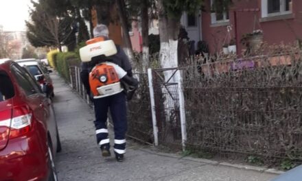 Campanie de deratizare şi tratamente fitosanitare în Tulcea, între 2 şi 14 noiembrie