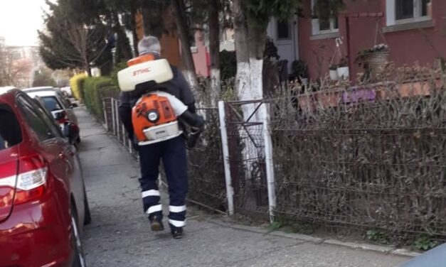 Campanie de deratizare şi tratamente fitosanitare în Tulcea, între 2 şi 14 noiembrie