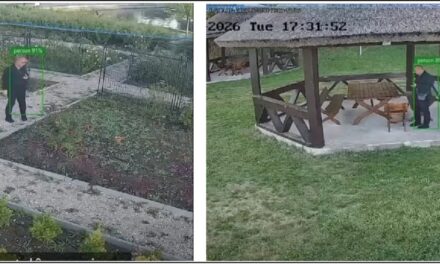 Inteligenţa Artificială păzeşte Parcul Ciuperca: Sistem inteligent care detectează hoţii de bănci şi braconierii